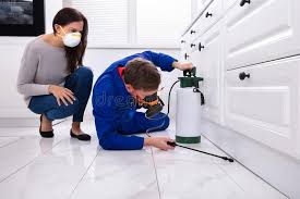 Emergency Pest Control in Depew, NY